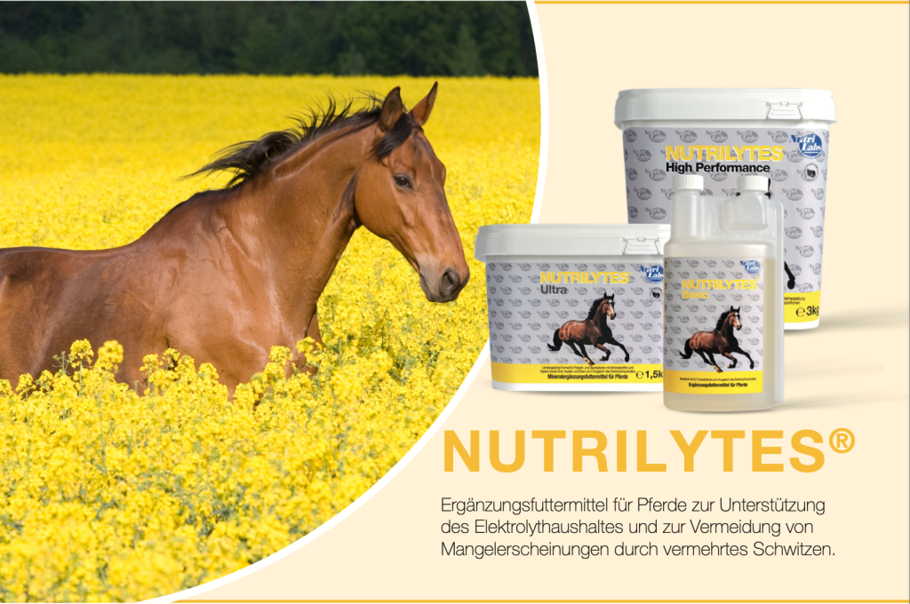 NutriLabs NUTRILYTES® BASIC flüssig für Pferde 1 Liter - ApoAnimal
